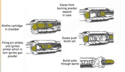 Rimfire Firing Diagram