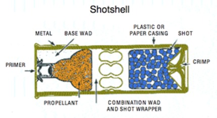 Shotshell Shotgun Cartridge Cut away cross section